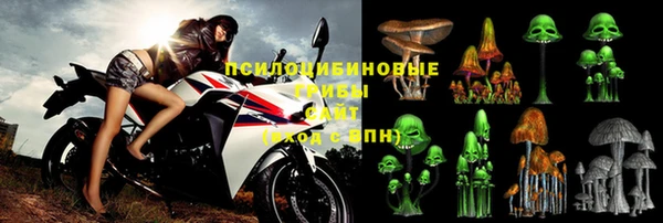 СК Пестово