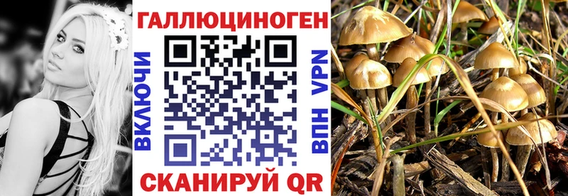 это клад  что такое   Североуральск  Псилоцибиновые грибы MAGIC MUSHROOMS  kraken зеркало 