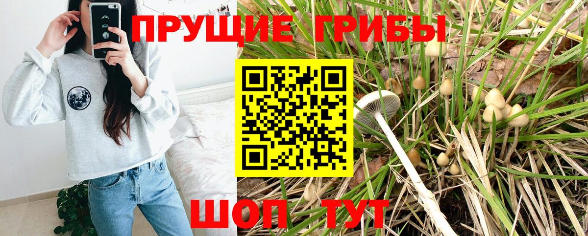 Североуральск  Псилоцибиновые грибы MAGIC MUSHROOMS  Вход с VPN 