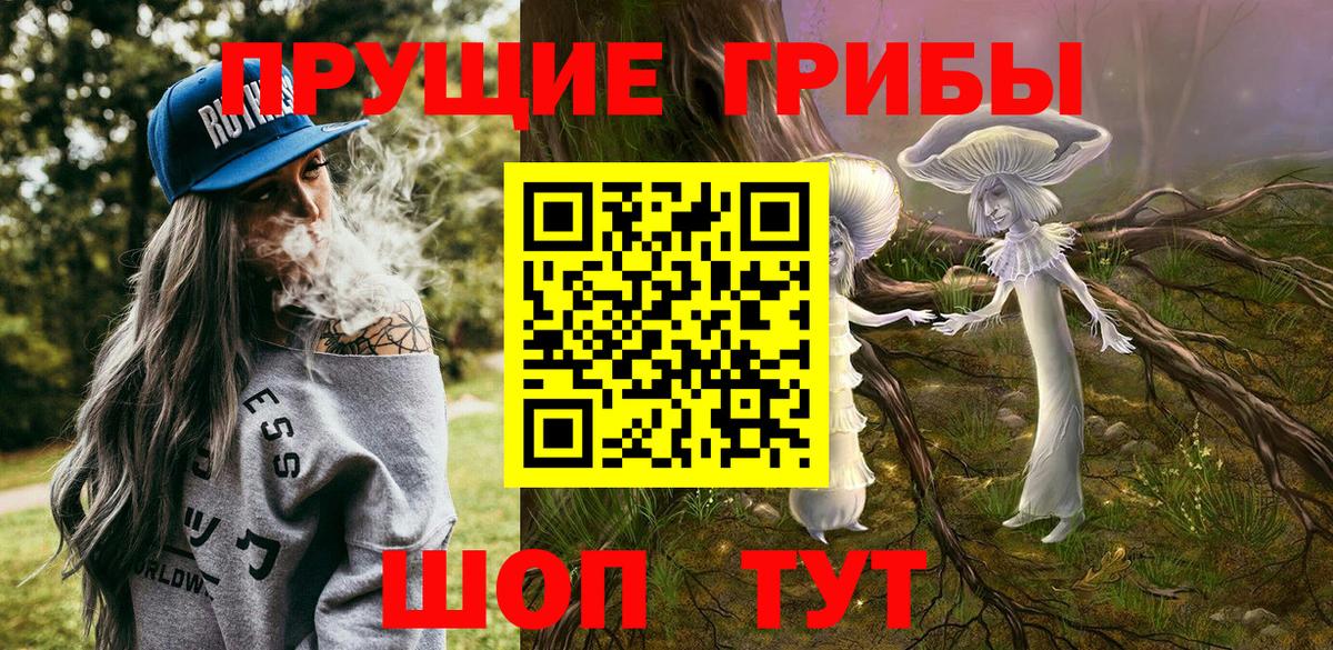 Псилоцибиновые грибы GOLDEN TEACHER Североуральск